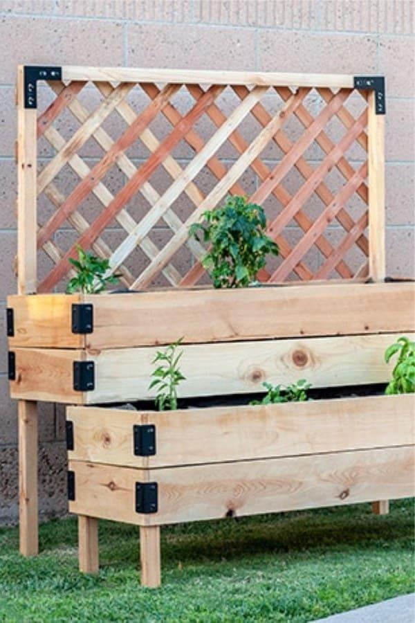 Pallet Garden Ascent: Build a tiered garden that ascends in height creatively