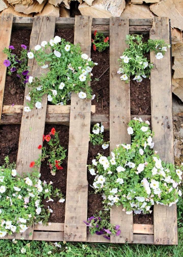 Craft a stylish pallet garden for displaying seasonal blooms