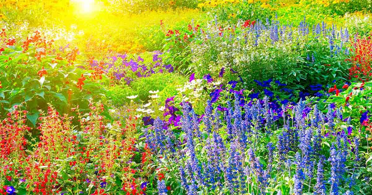 Introduce colorful flower beds​ to brighten your backyard