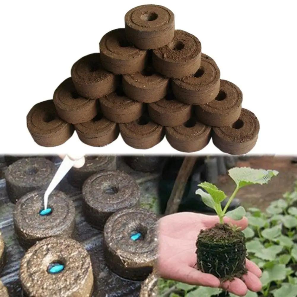 Innovative Pallet Garden⁤ Seedling Starters for⁤ Beginners