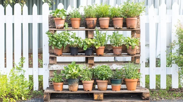 Pallet Garden Fence: Use pallets⁢ to build a unique ‌boundary with greenery