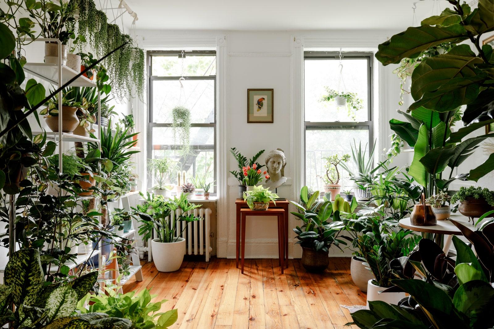 Indoor plants create a⁢ refreshing touch, adding color ⁤and​ life to the ⁣living room