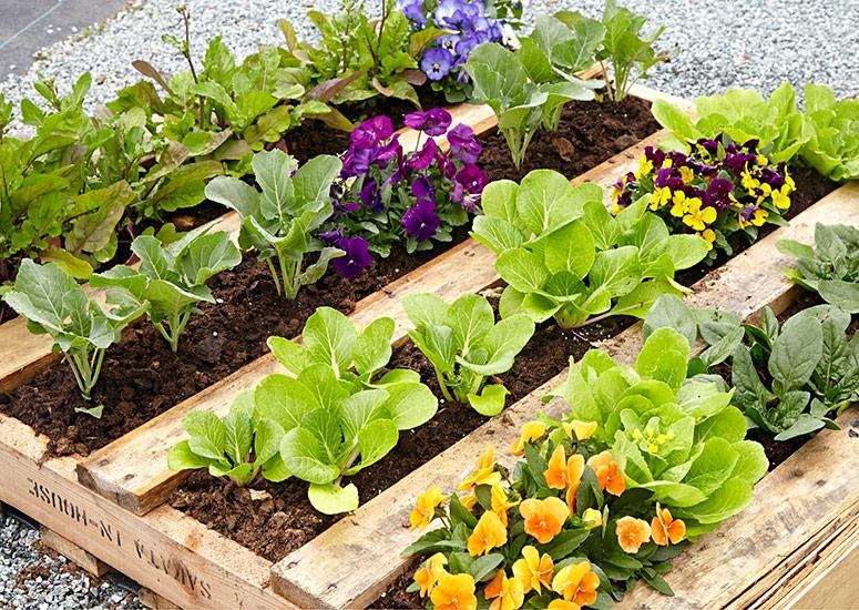 Minimalist Pallet Garden: Clean ⁢lines ⁢and simple design for ⁣modern spaces