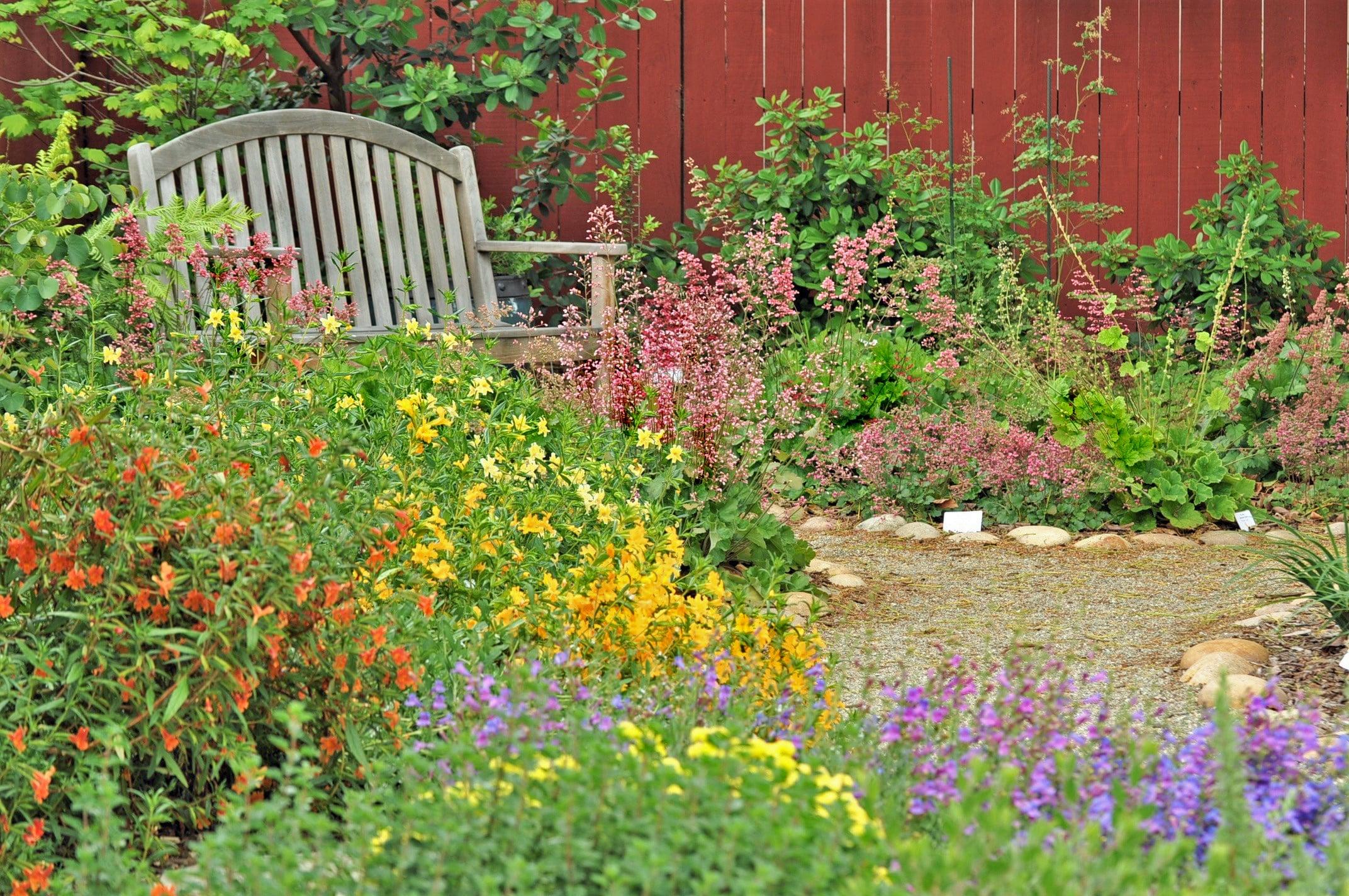 Set up a⁢ backyard wildlife habitat for local creatures