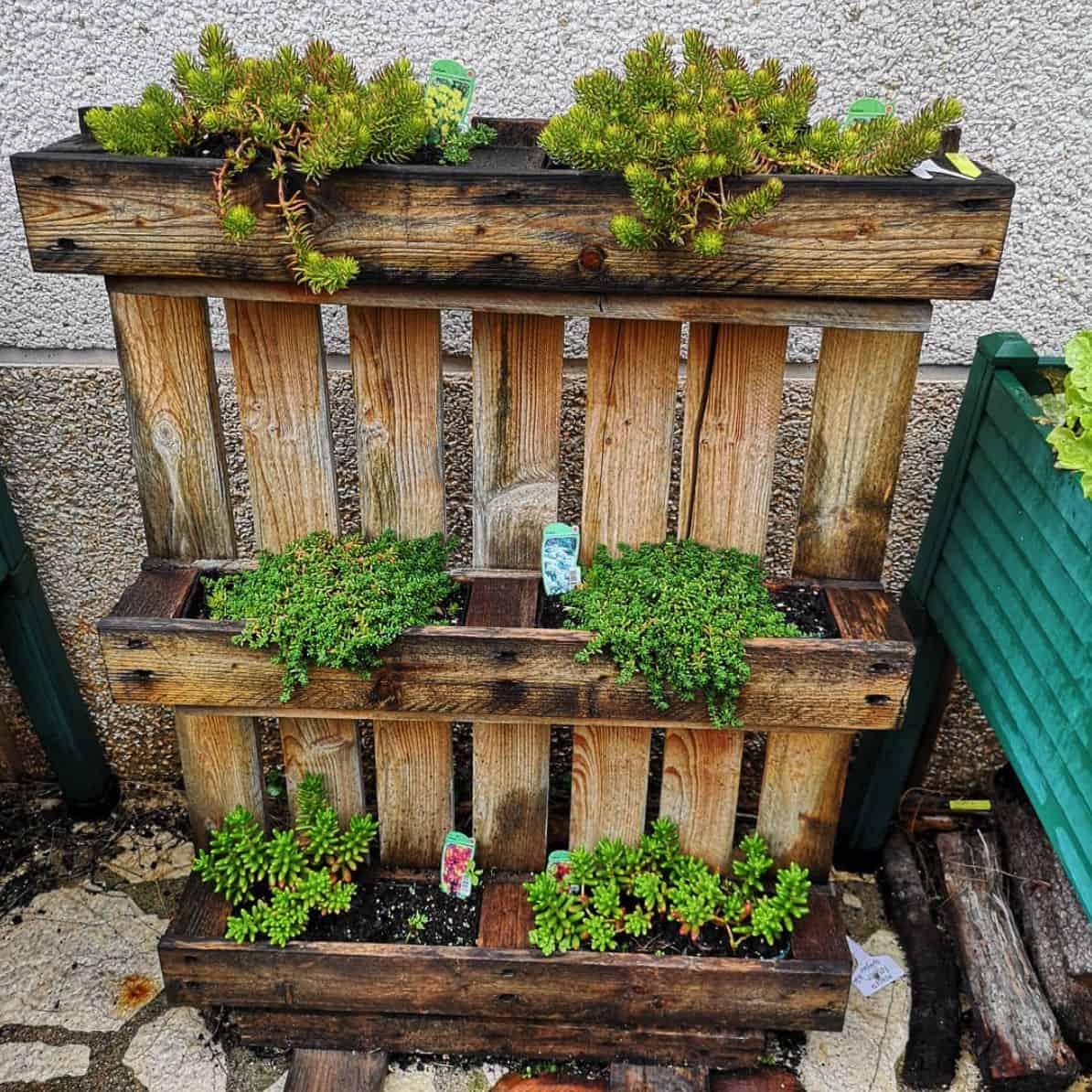 Rustic Pallet ‍Garden: Embrace natural ‍textures for a charming outdoor ⁣vibe