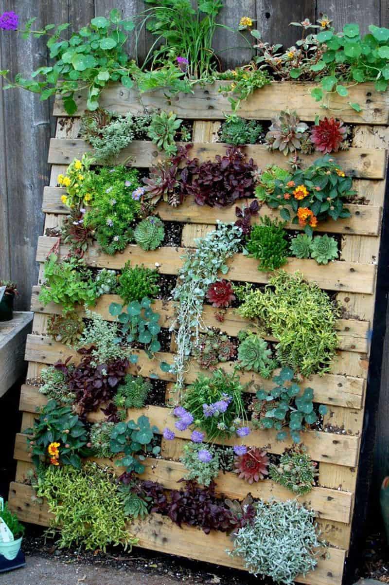 hanging Pallet Garden: Elevate your plants‌ with creative hanging arrangements