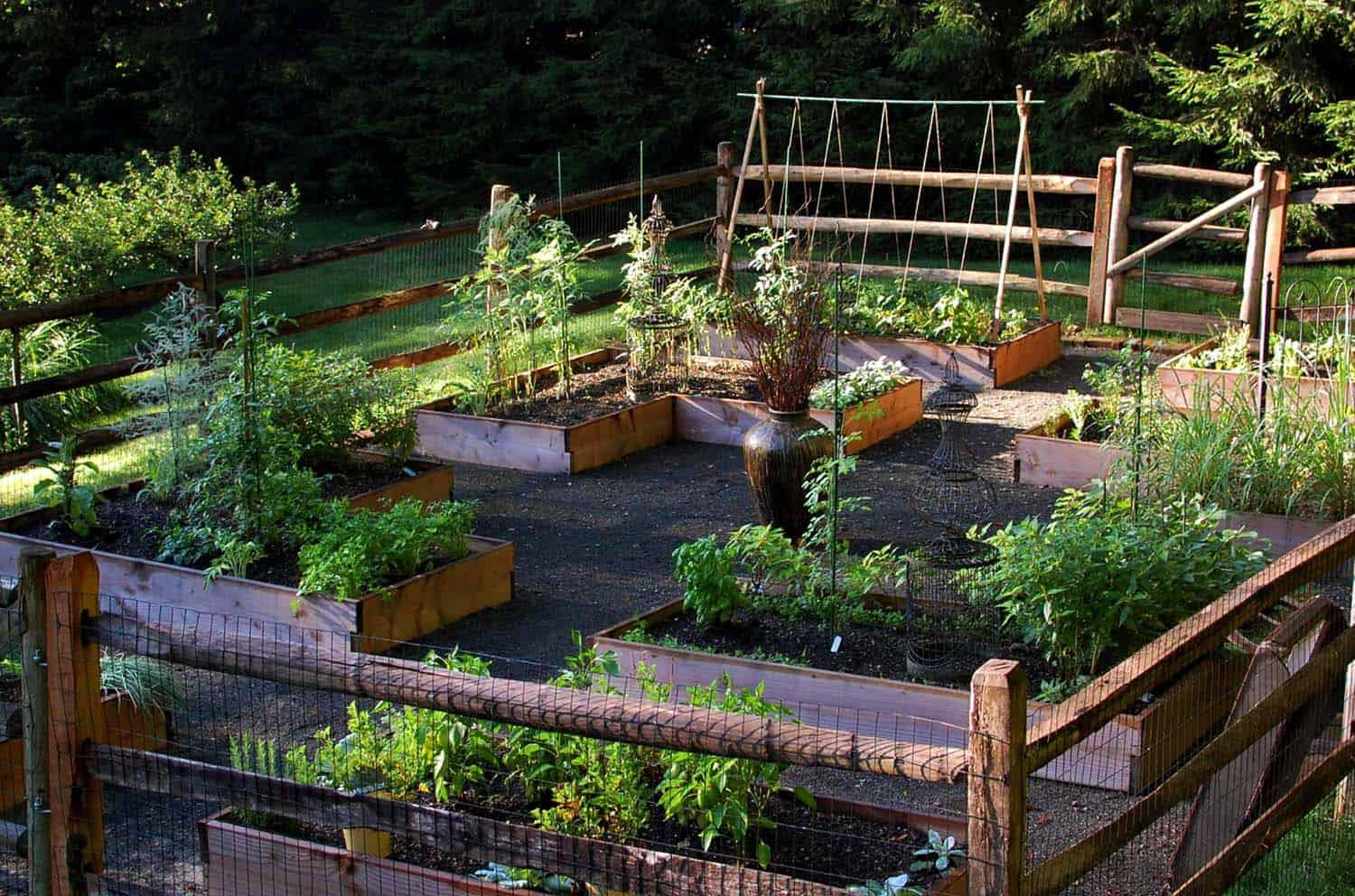 Build a raised vegetable garden ​in your backyard for ⁣fresh produce