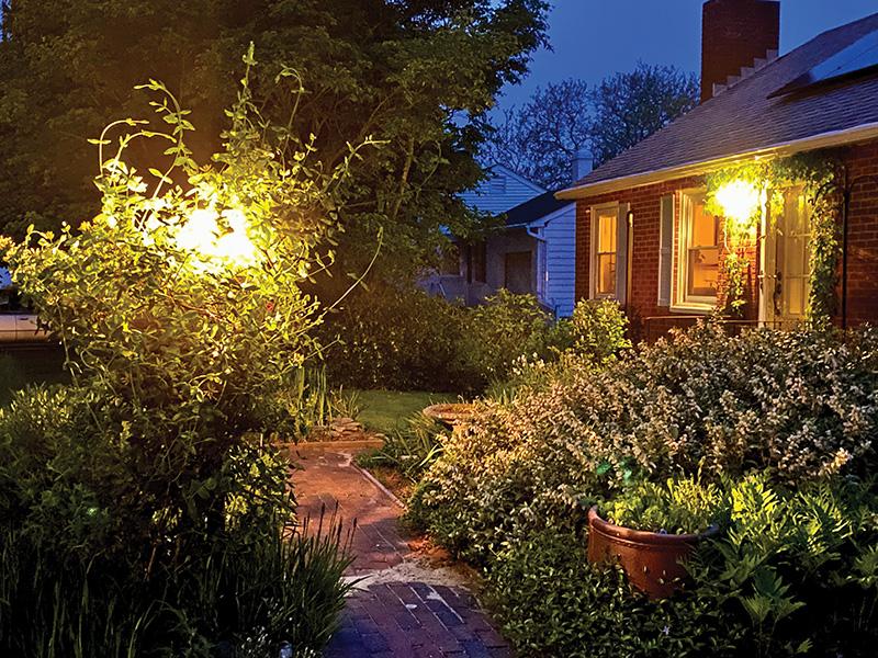 Incorporate⁤ a firefly garden​ to attract wildlife to your small backyard