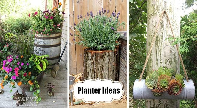 Creative planters to‌ display your ⁢favorite plants in your backyard