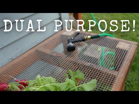 Introduce a pallet⁣ garden food station ​for fresh vegetables