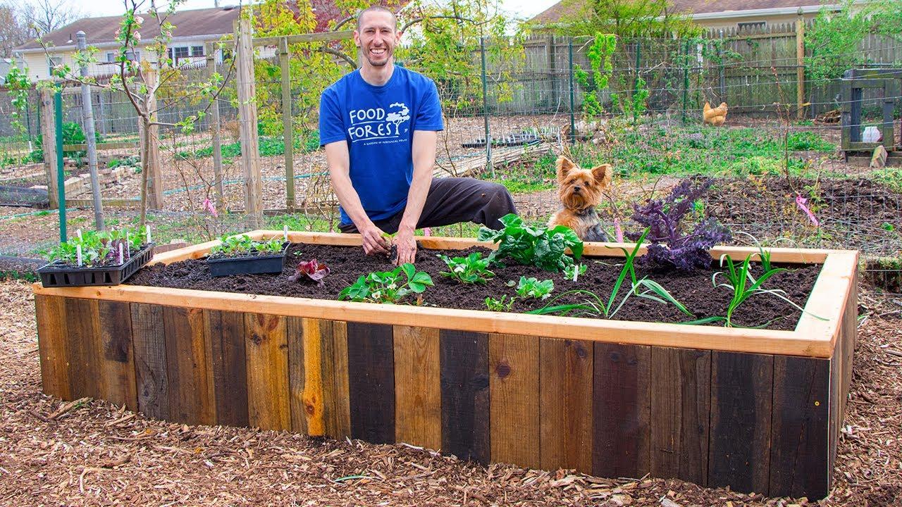 Use pallets as garden dividers for designated planting areas