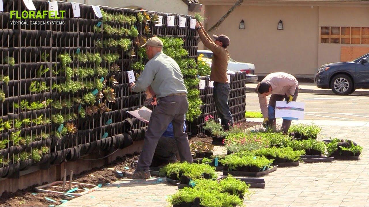 Install a vertical garden for ​vibrant backyard greenery