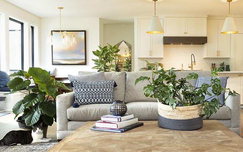 Urban Jungle ​Living Room: ‌Indoor plants create a lively, green oasis