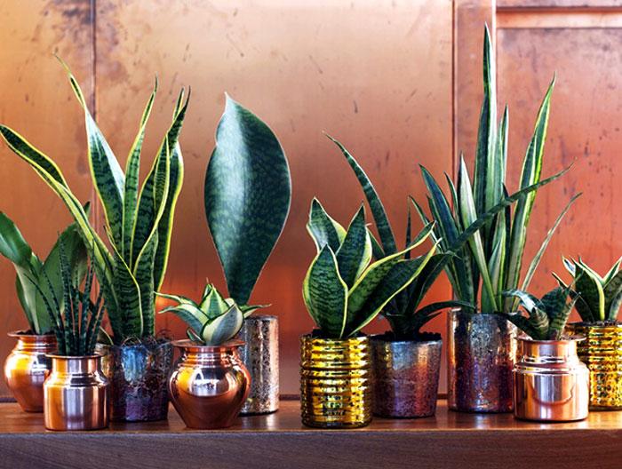 Use ⁢plants strategically to enhance ​the ‌lush vibe of your eclectic bathroom