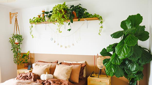 Incorporate indoor plants for ⁢a fresh ‍touch to interior design