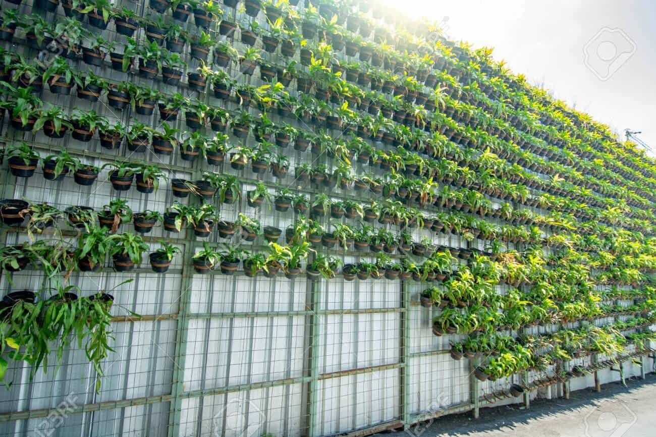 Grow a vertical garden wall for greenery in your backyard oasis