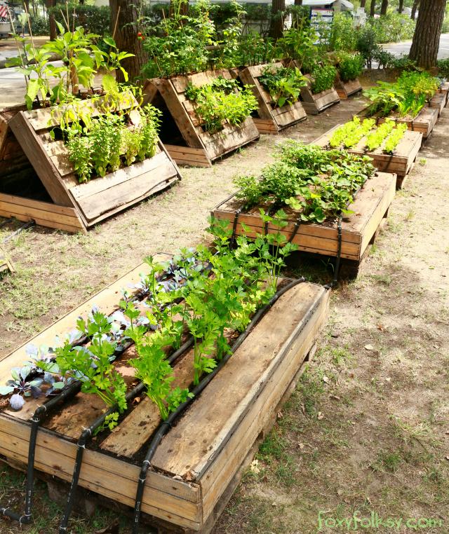 Pallet ⁢Garden Planters: ​Stylish⁢ containers ​for ⁤herbs, flowers, or⁣ vegetables