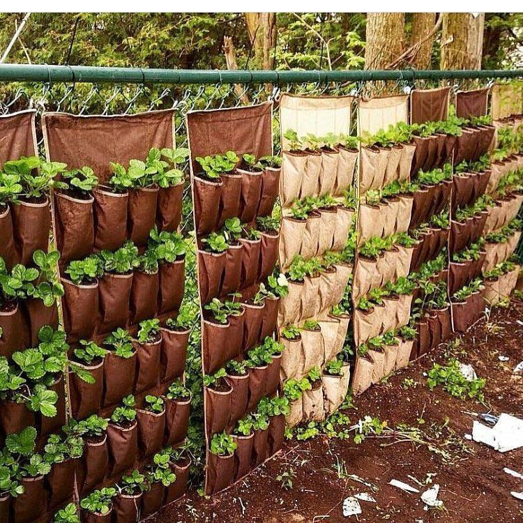 Align multiple pallet gardens to create a small urban farm