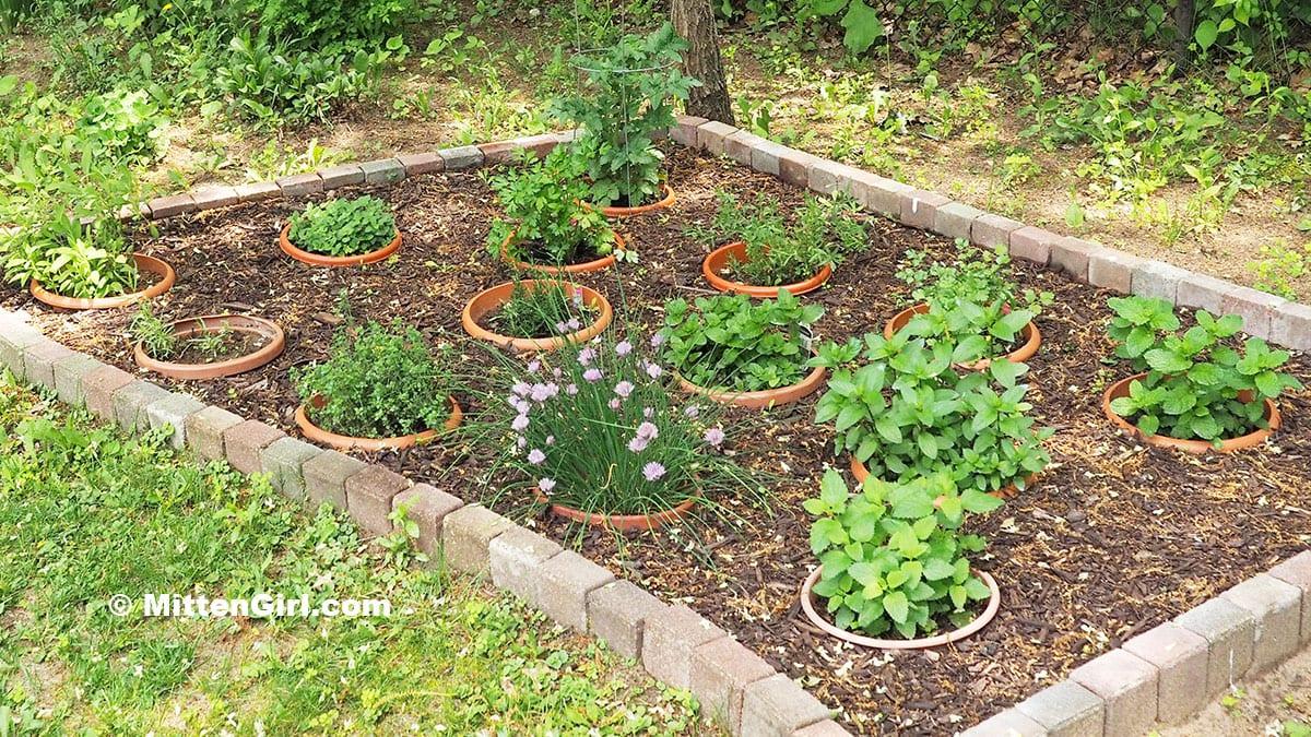 Design a‌ mini herb garden for ‍culinary inspiration‌ in your small ‌backyard