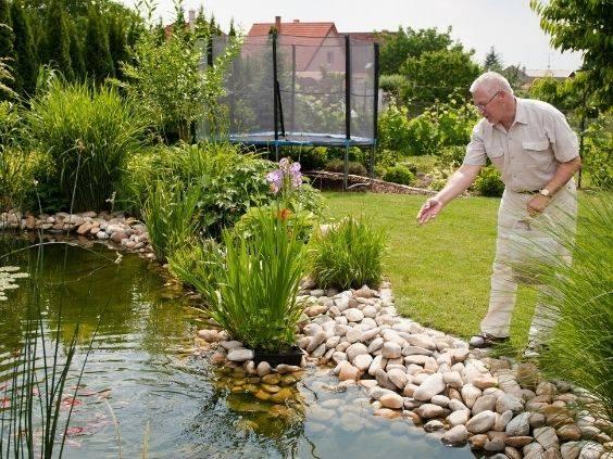 Install a ⁤sparkling⁤ pond to attract wildlife​ in your backyard