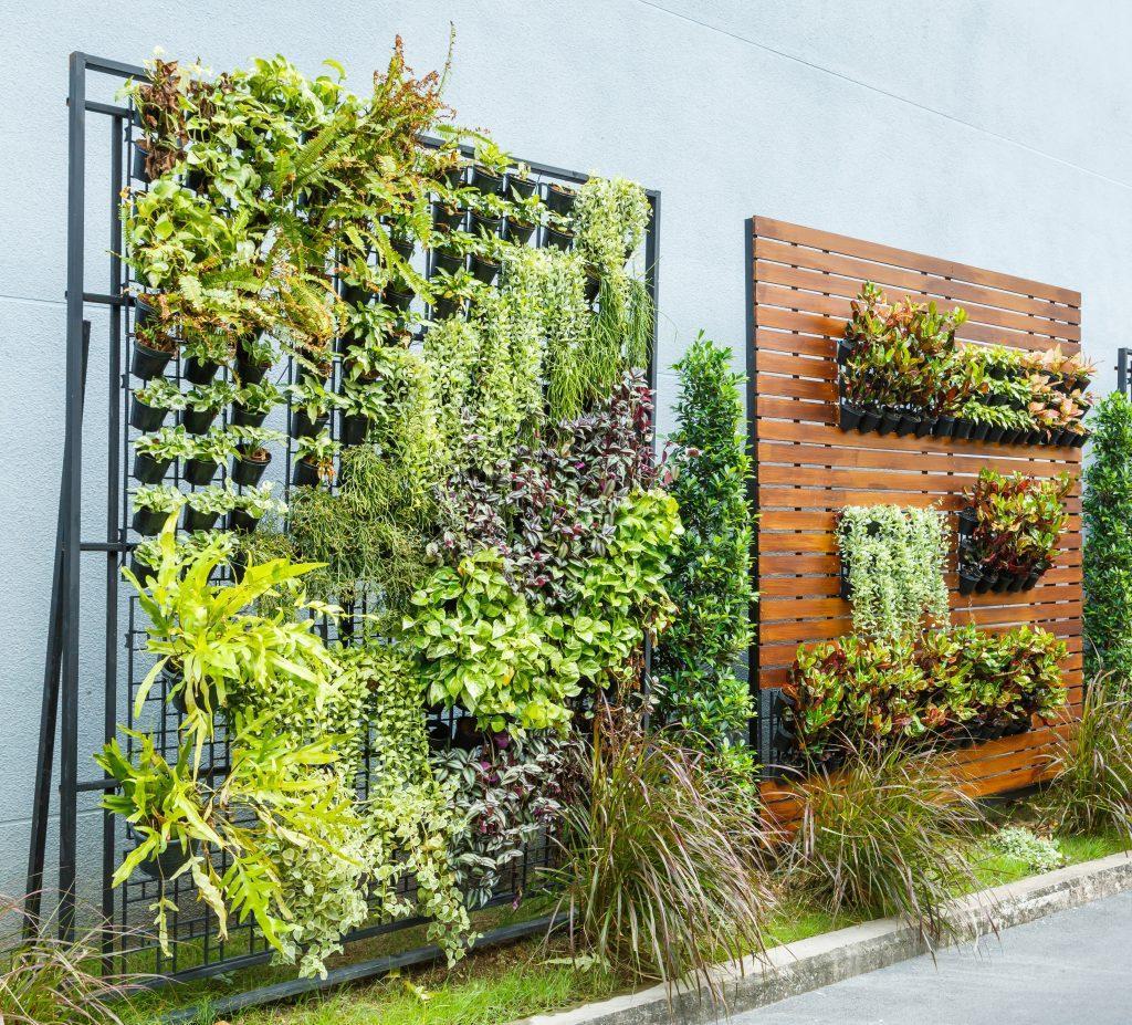 Add a vertical garden for artistic flair‍ in‌ your backyard