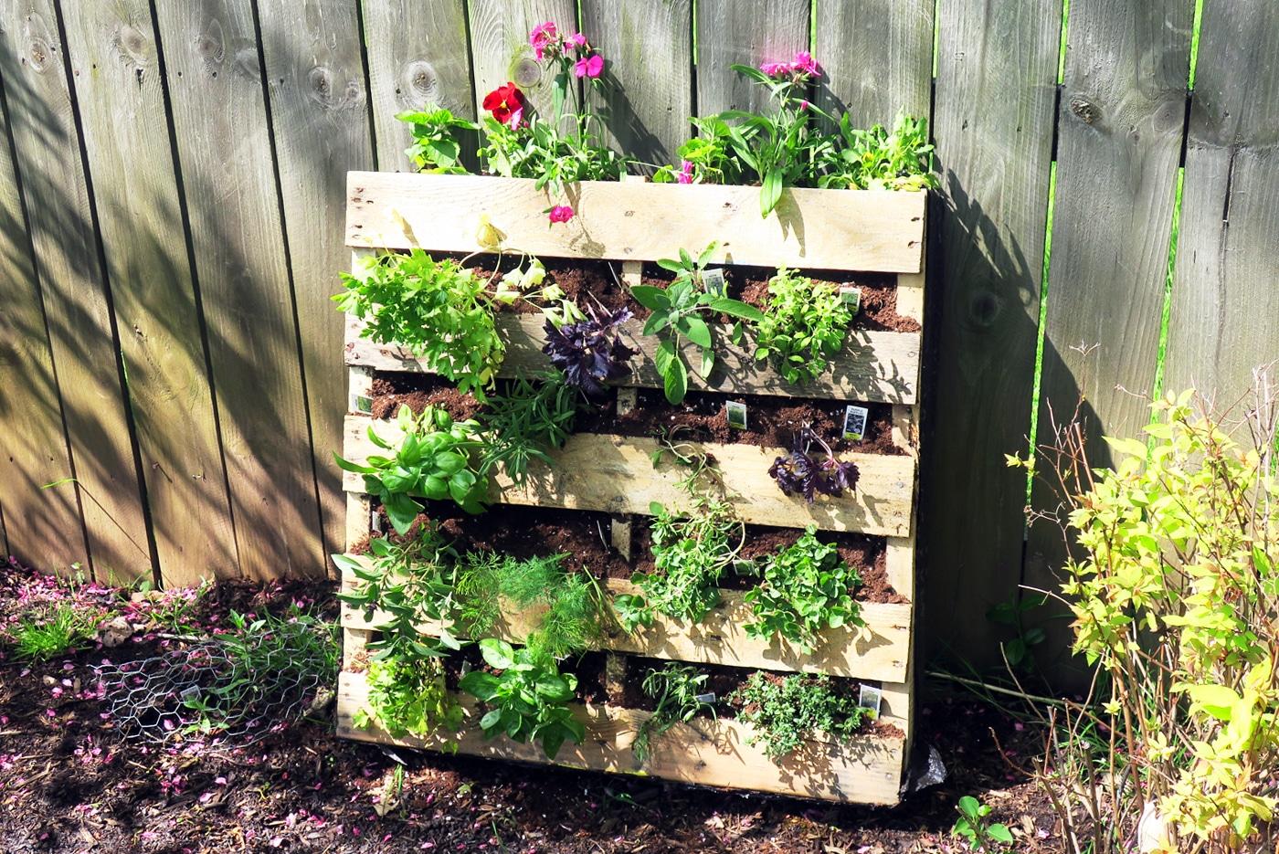 Pallet⁤ Garden Wall: Create an eye-catching green backdrop for relaxation