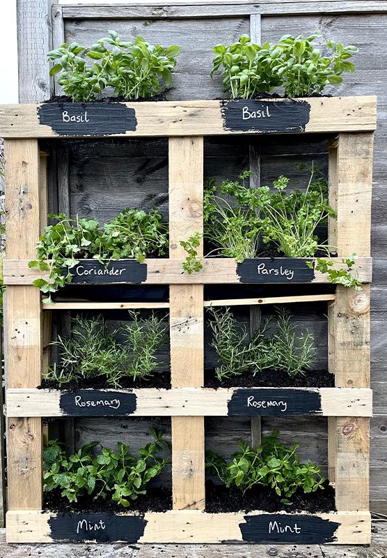 Vertical Pallet Garden: ‍Maximize Space ⁢with Layered Planting ⁣Techniques