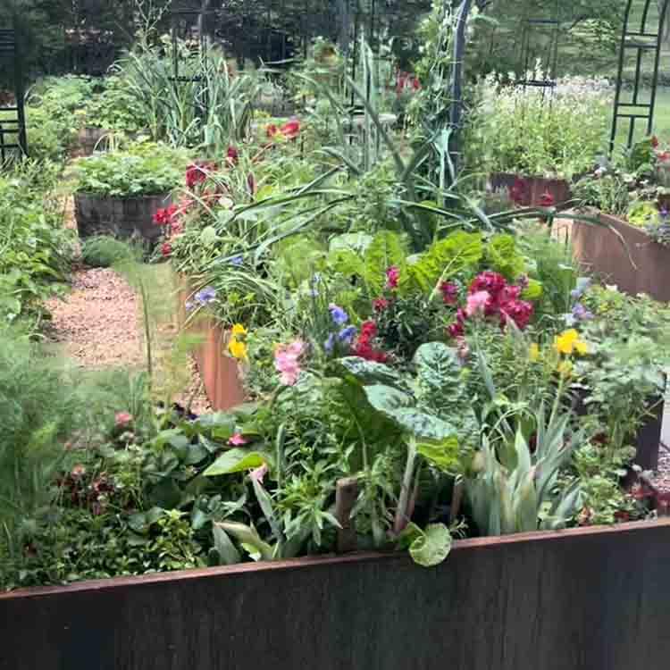 Sustainable garden beds promoting⁣ eco-conscious gardening in your ⁢backyard