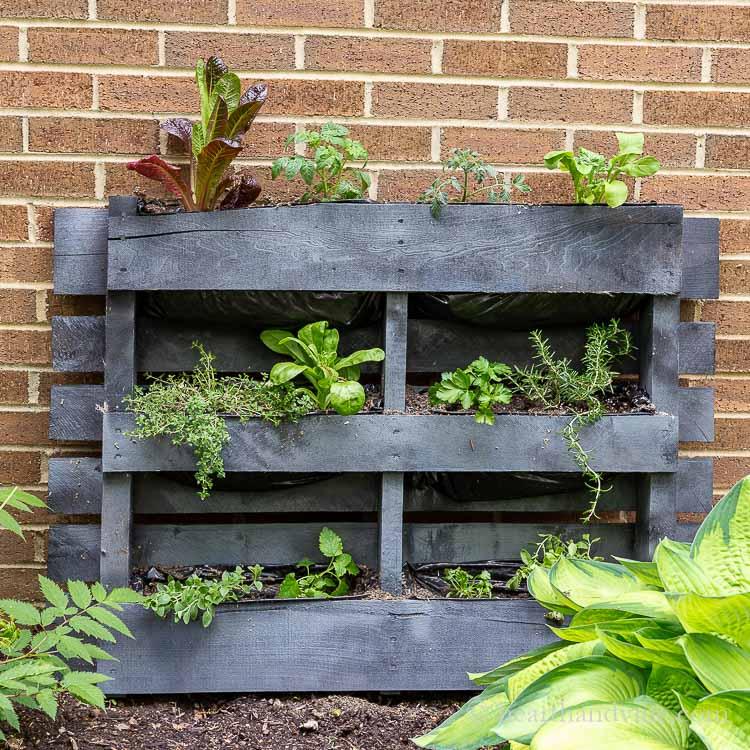 Pallet Garden Wall Art:‌ Incorporate⁢ plants into⁣ striking wall-mounted art pieces