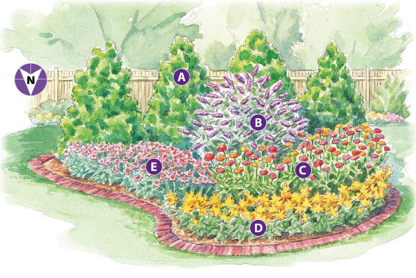 Design a⁢ butterfly garden to attract⁢ beauty⁣ to ⁢your backyard