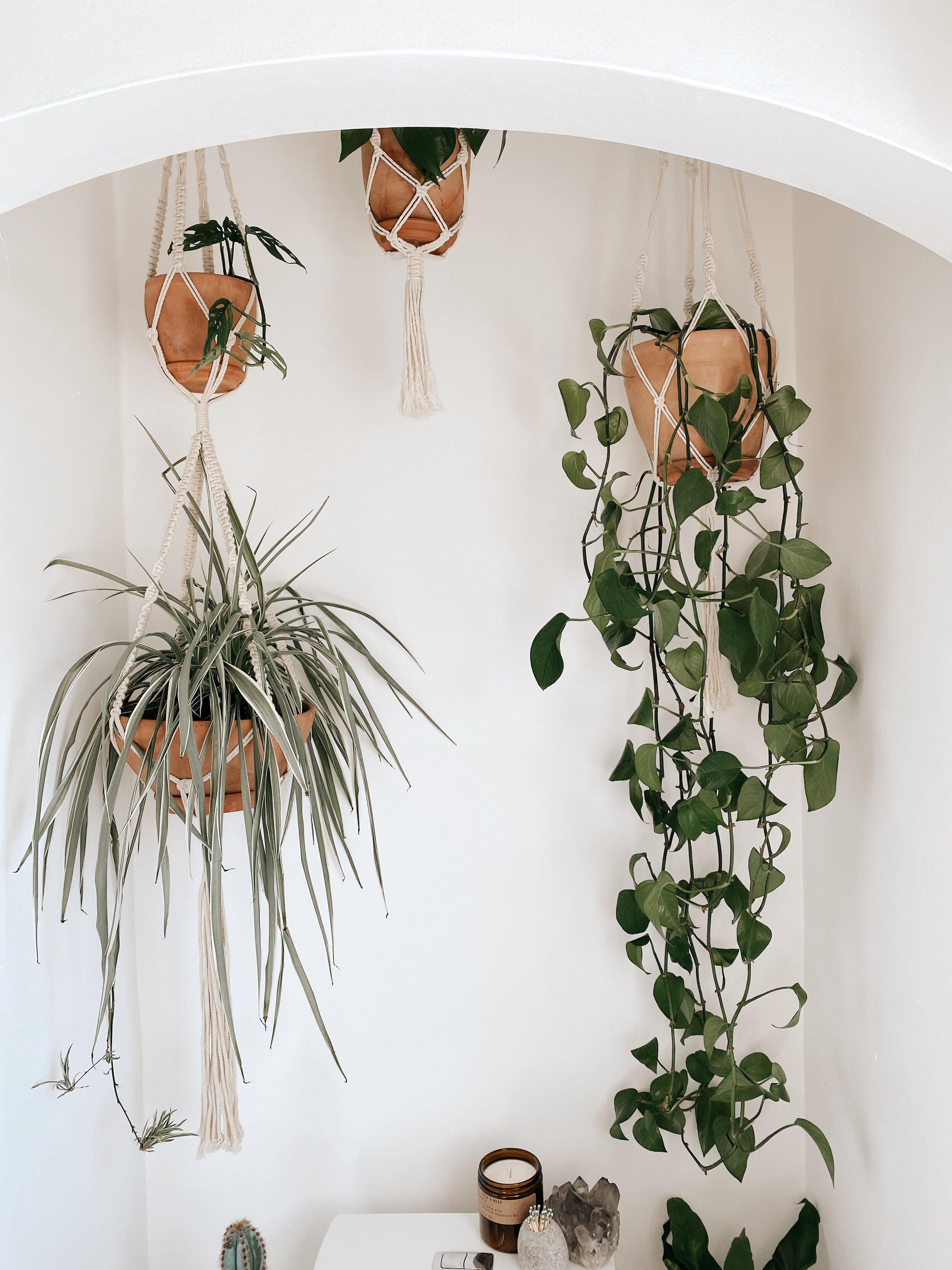 Handmade macramé plant hangers for a lush ⁤boho‍ bathroom vibe