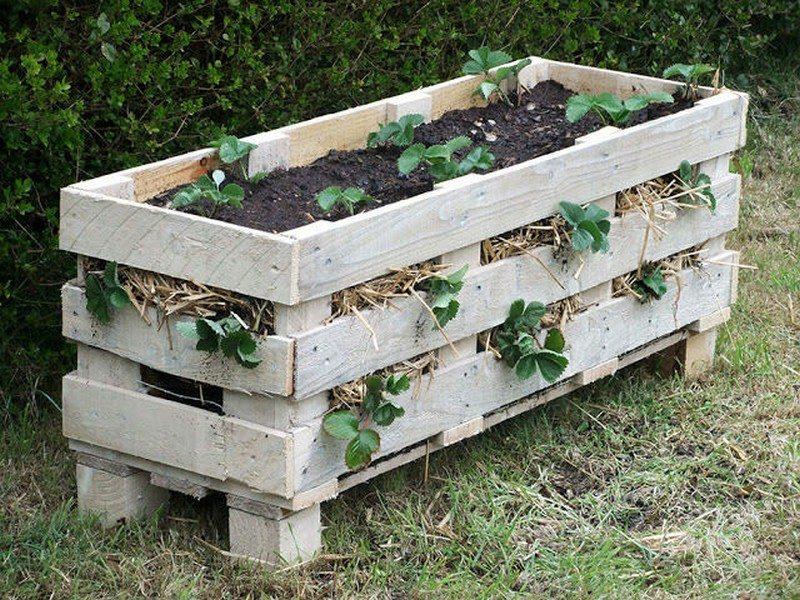 Seasonal Pallet Garden: ⁤Rotate Plants for Year-Round Interest