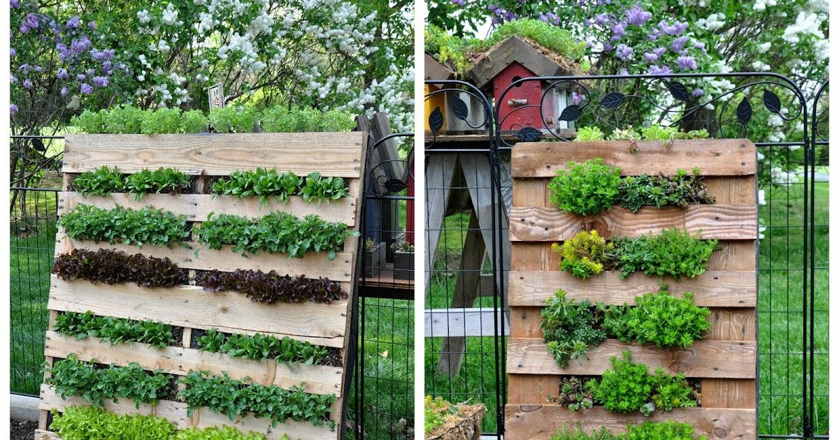 Edible Pallet Garden:⁢ Grow⁢ Fresh ​Produce ⁢for ‌Your ‍Kitchen