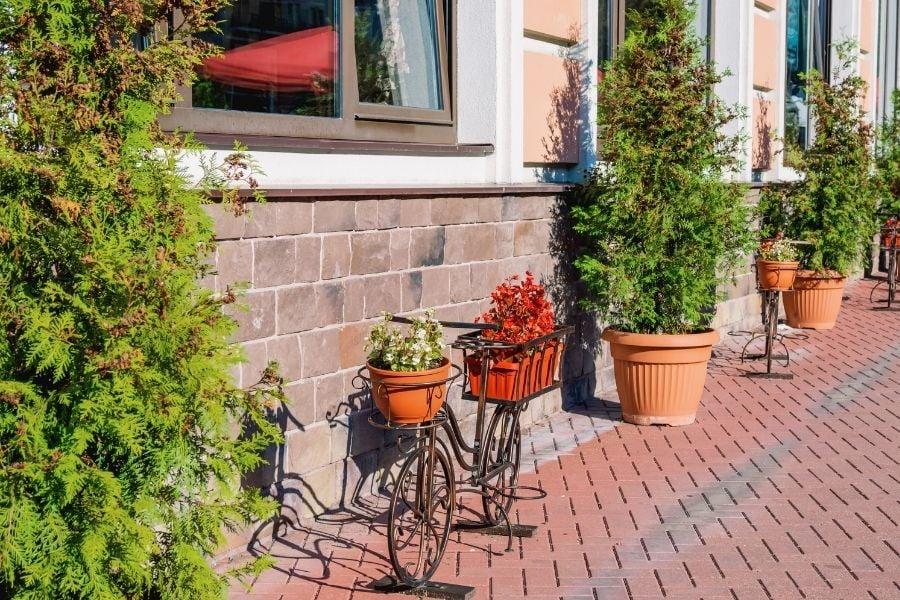 Add potted plants to⁣ frame entrances​ in your​ small backyard