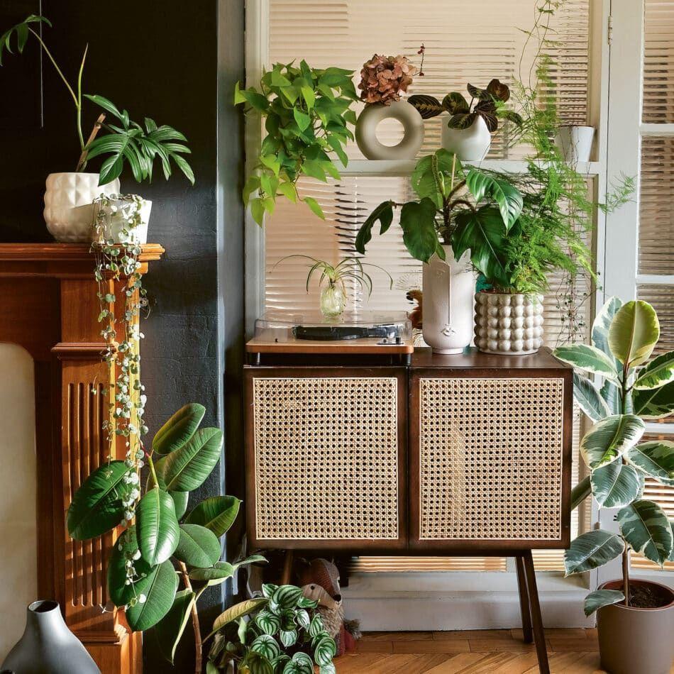 Indoor plants bring life ⁤and freshness​ to interior design spaces