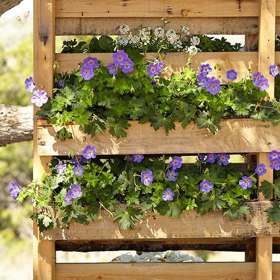 Flower‍ Pallet‌ Garden: Vibrant⁣ blooms bring ⁢life ‌to any space