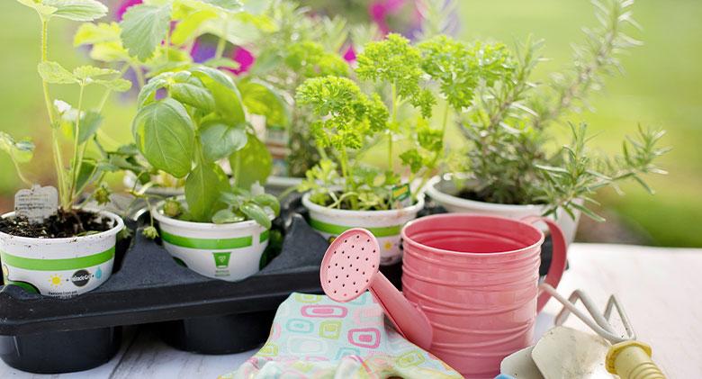 Create a mini herb garden for fresh scents on your screened porch