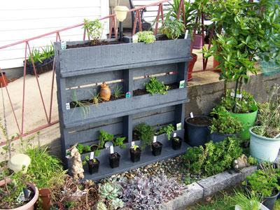 Edible Pallet Garden Displays for Vegetables and Herbs