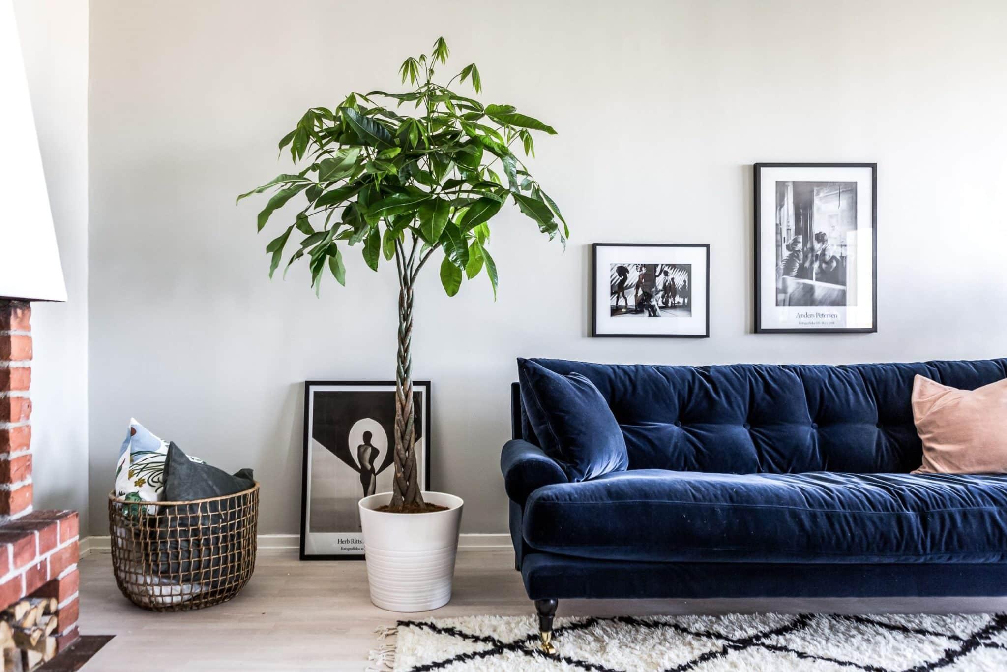 Incorporate a plush navy sofa for a ⁢cozy blue living room