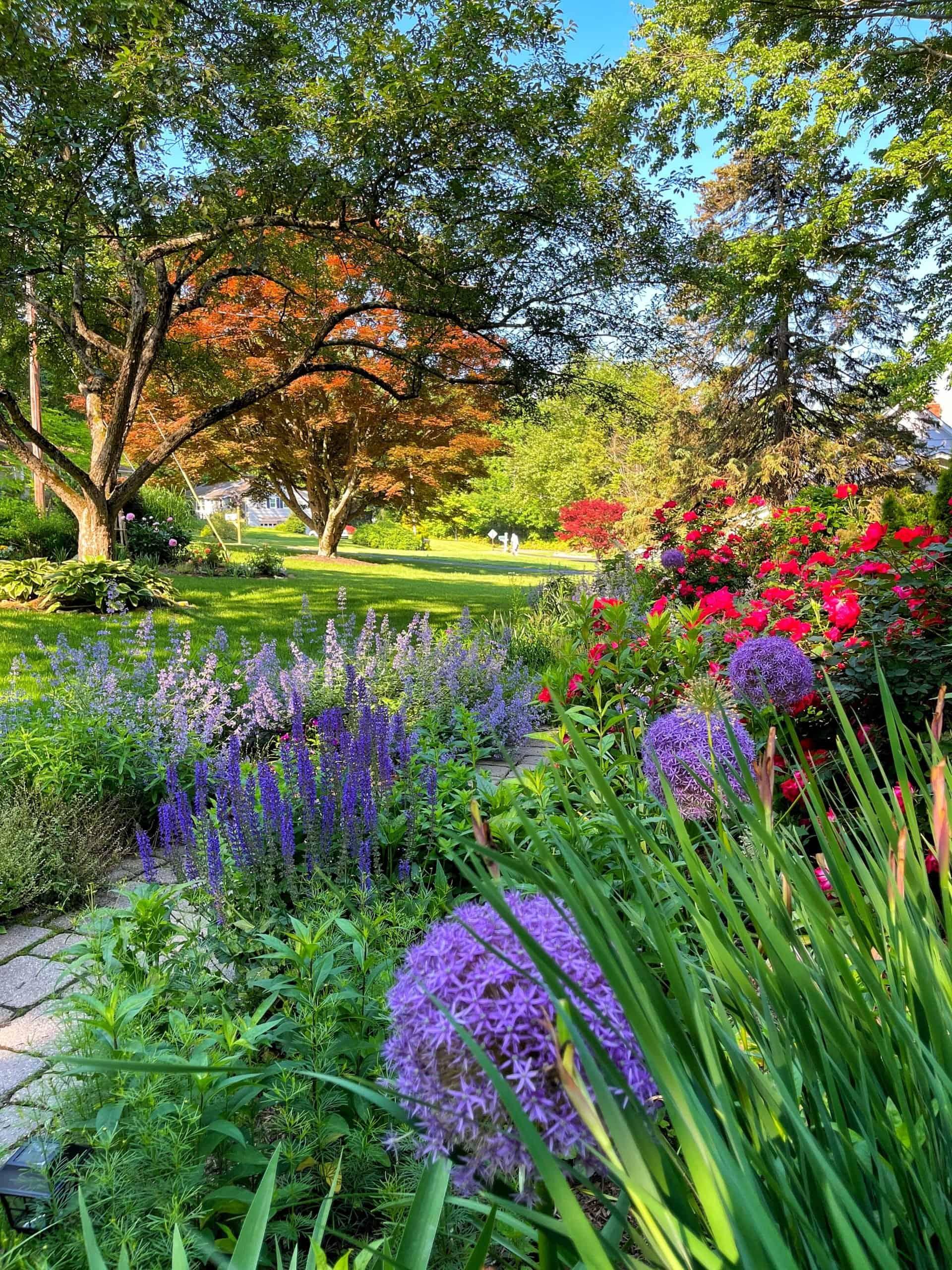 Plan a seasonal planting scheme to keep your backyard oasis blooming year-round