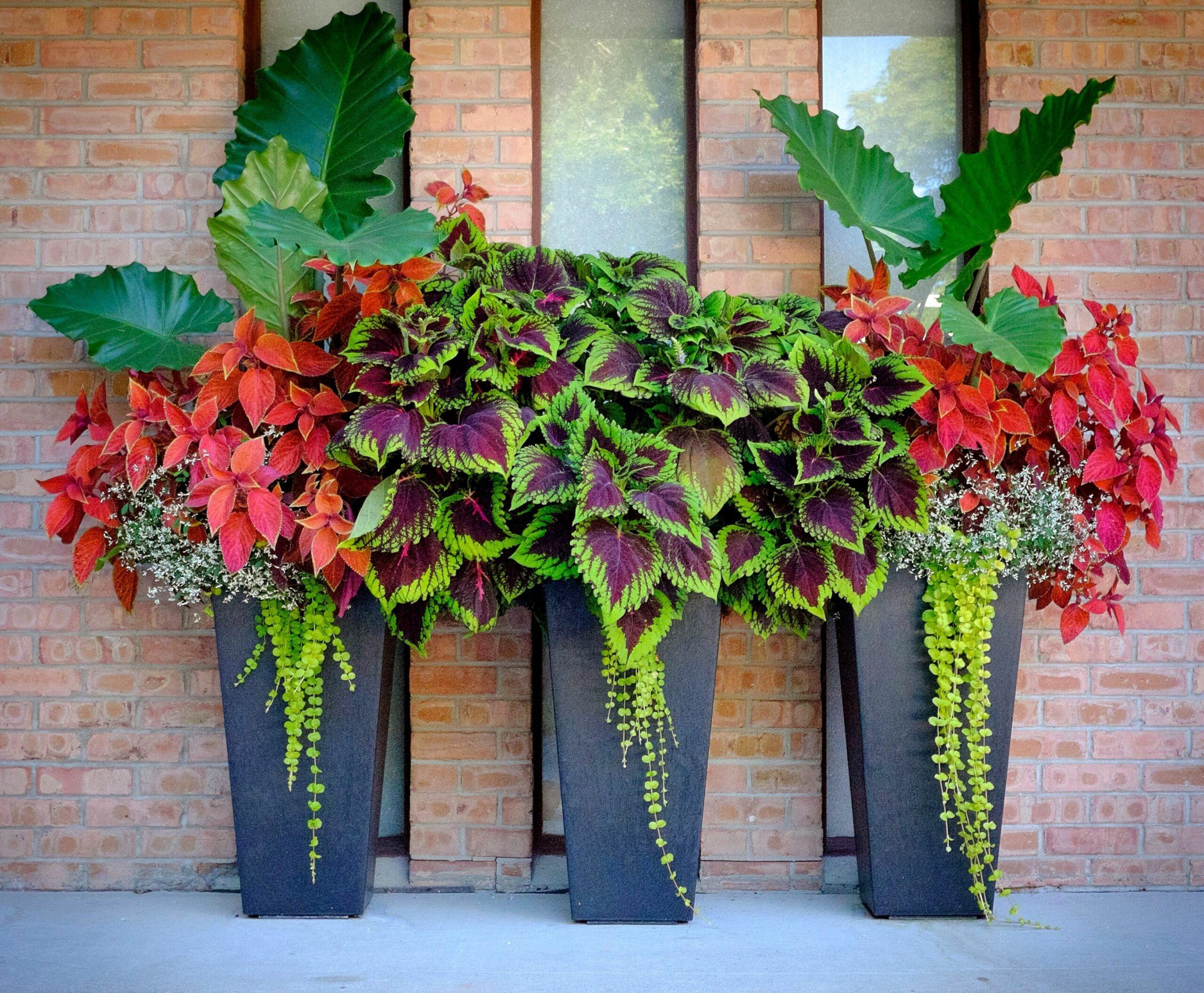 Design a flower pot arrangement in your screened porch