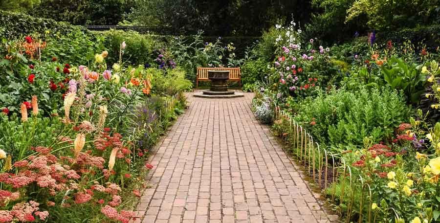 Create a sensory garden with varied textures in your⁣ backyard