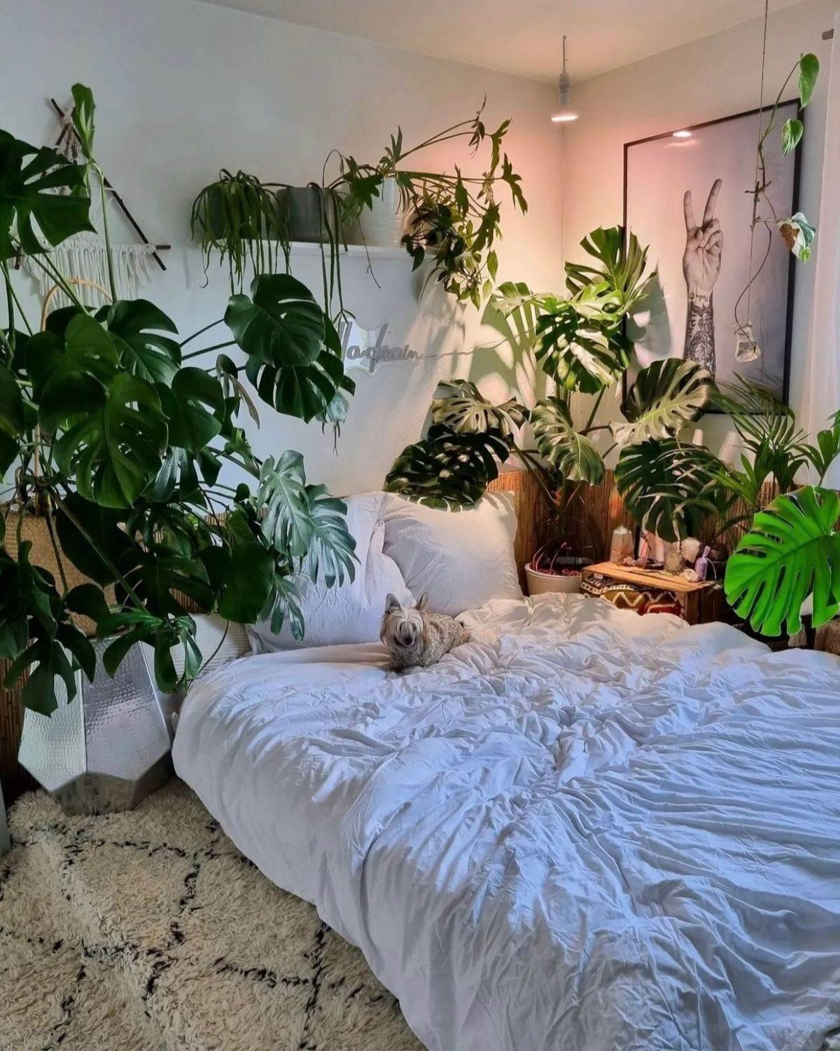 Urban Jungle: Fill​ your room with⁢ plants to ⁤create a serene bedroom trend