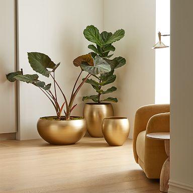 Add a pop of greenery with stylish planters in⁤ your⁤ living ⁢room