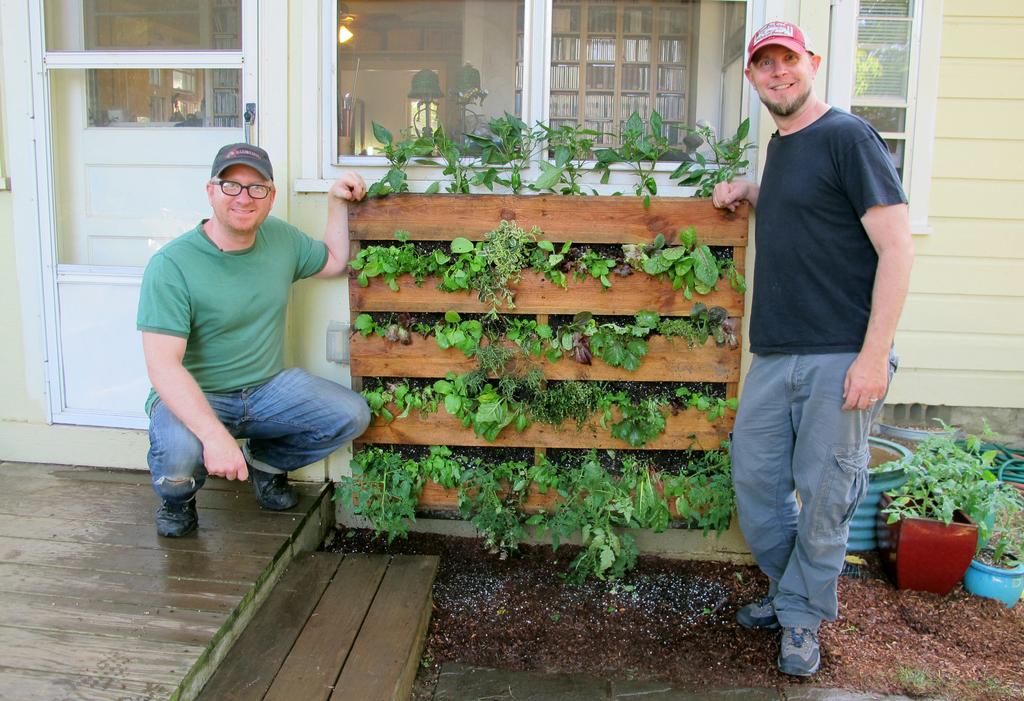 Combine pallets and vertical gardening to maximize limited space