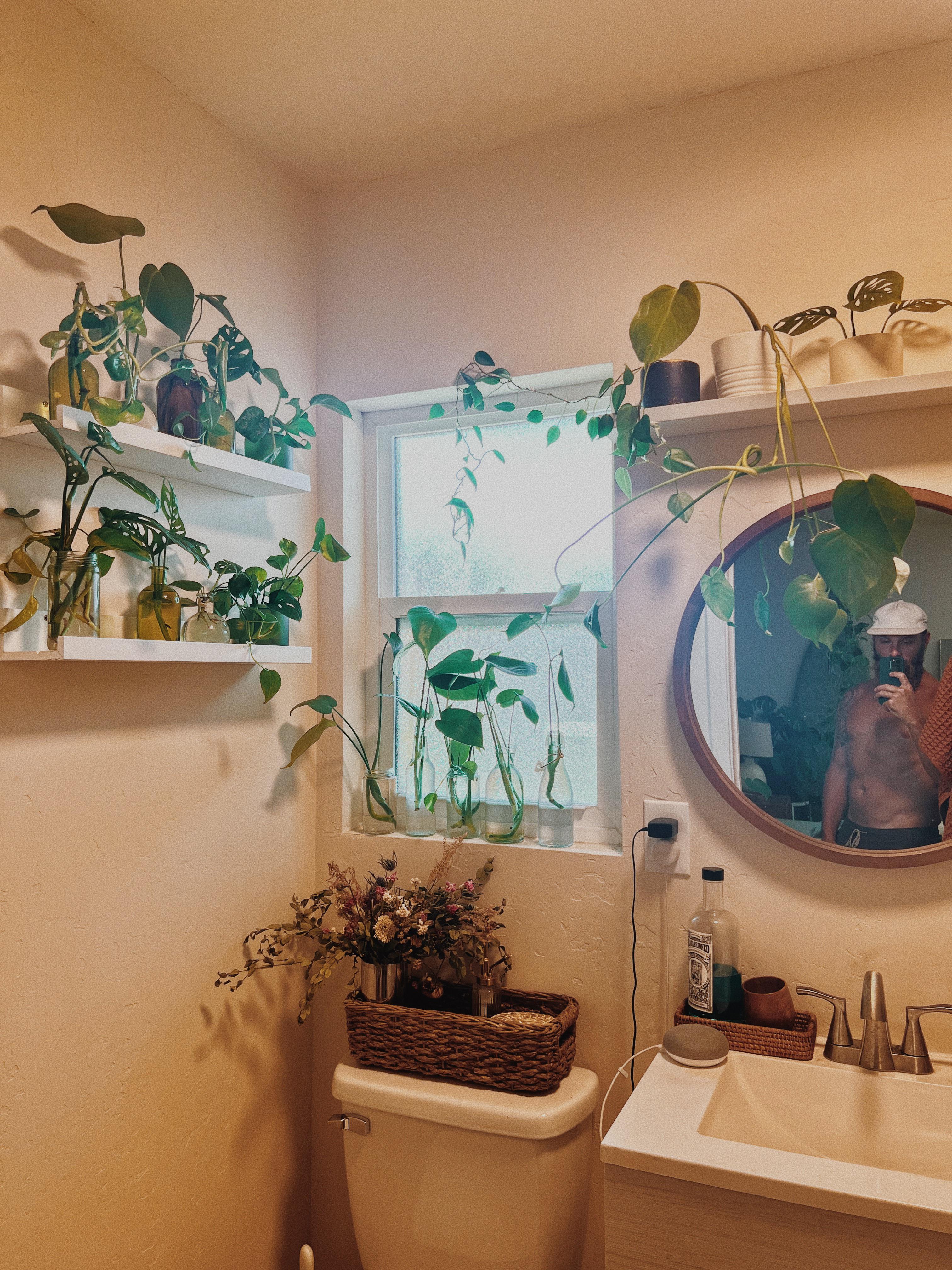 Houseplants: Greenery adds freshness and life to your eclectic bathroom aesthetic