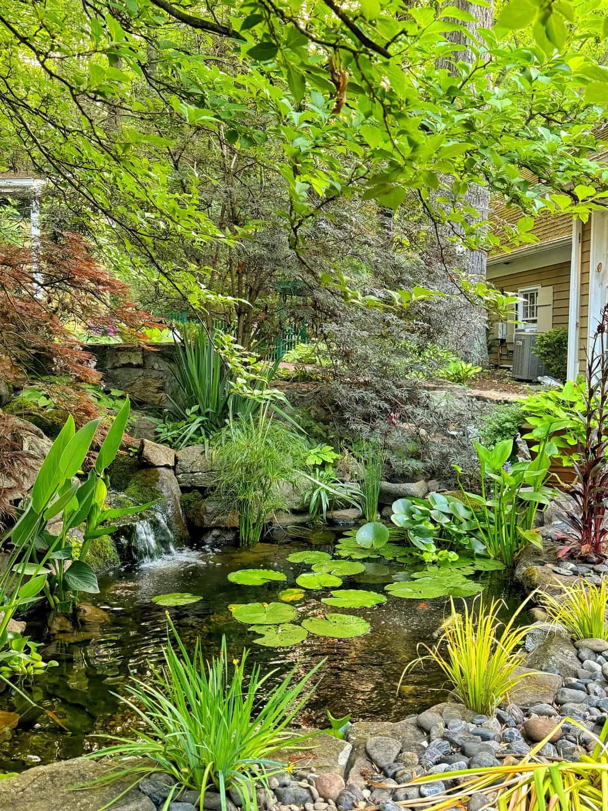 Incorporate a small water feature‌ for tranquility in your small backyard