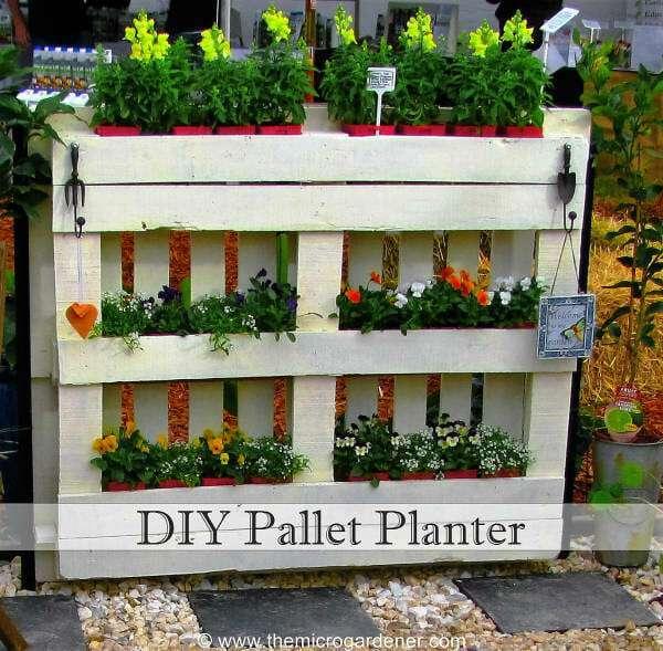 Artistic Pallet Garden Stand Showcases Seasonal Produce