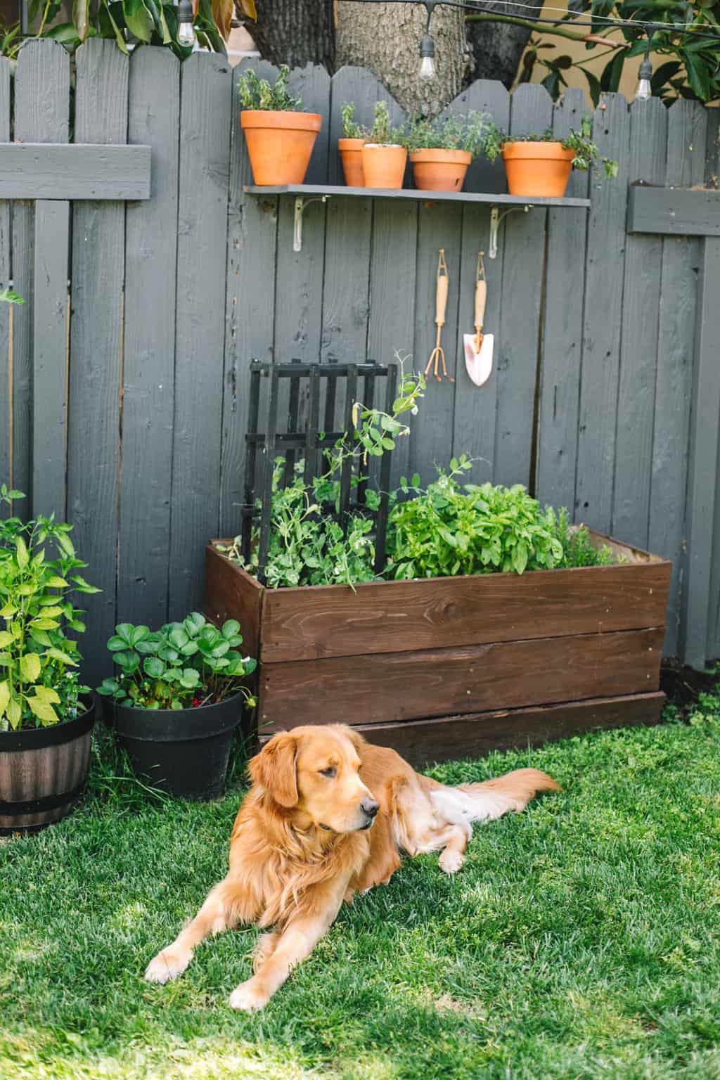 Integrate a small herb garden for⁣ fresh‍ cooking⁤ on your Screened Porch