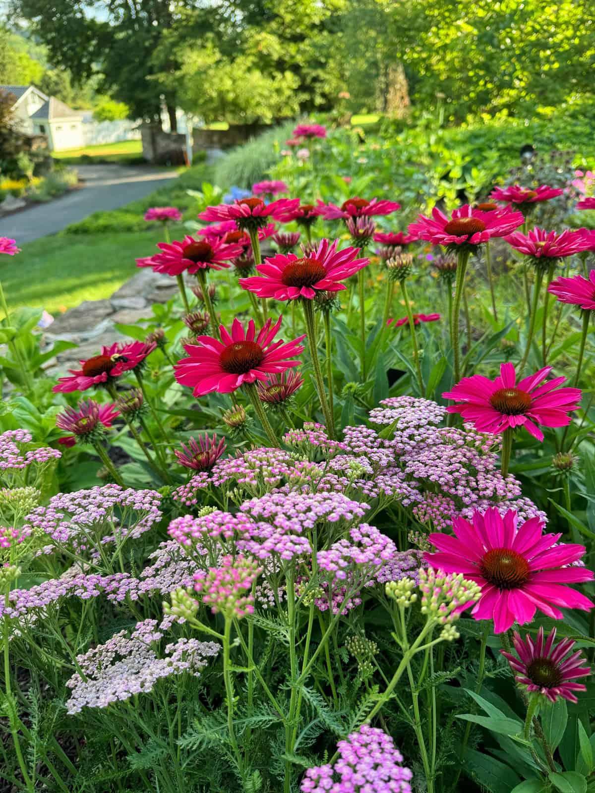 Transform your backyard‌ with vibrant flowerbeds and native plants